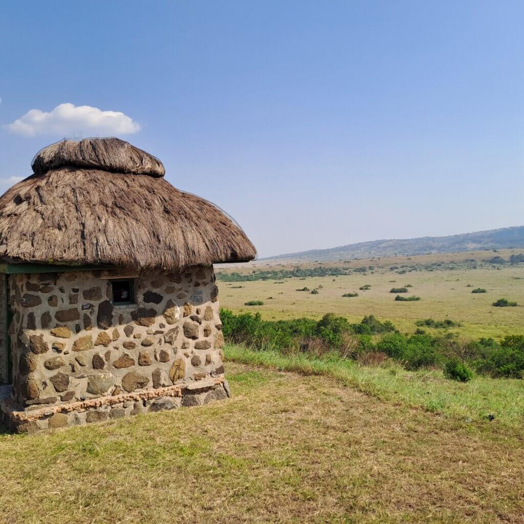 Safari in Uganda